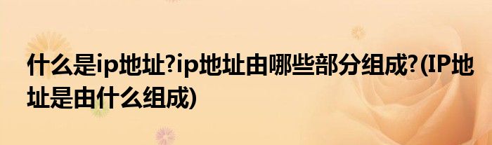 利用ip地址进行攻击的方法 (利用IP地址追踪域名的技巧和工具)-偌夕博客