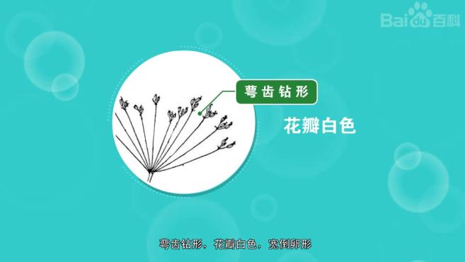 了解不同类型企业产品营销与销售的关系 (了解不同类型服务器功率需求的关键)-偌夕博客