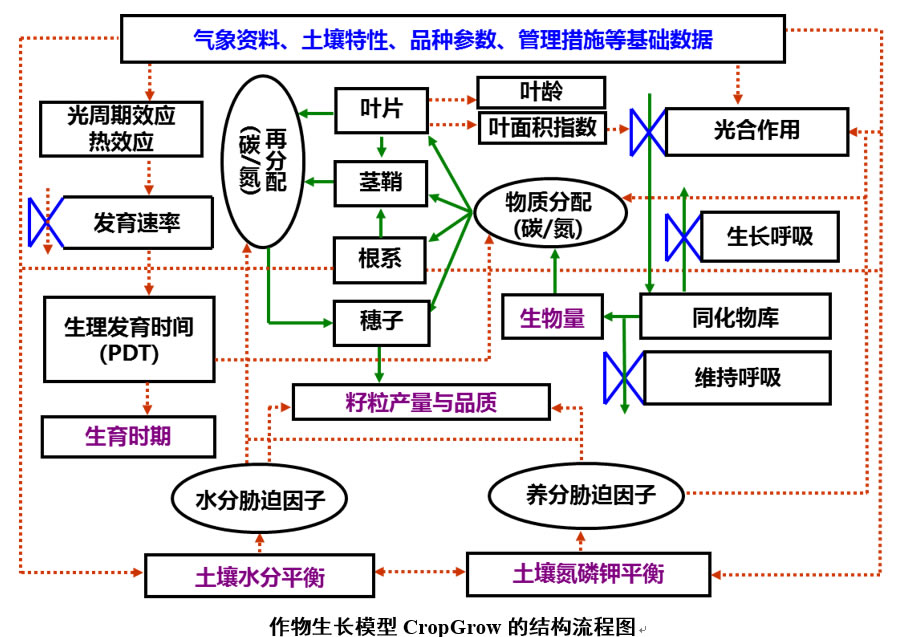 如何构建专业可靠的VPS评测平台-偌夕博客